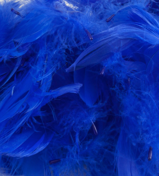 Royal Blue Eleganza Feathers Mixed Sizes 3'' - 5'' (50G Bag)
