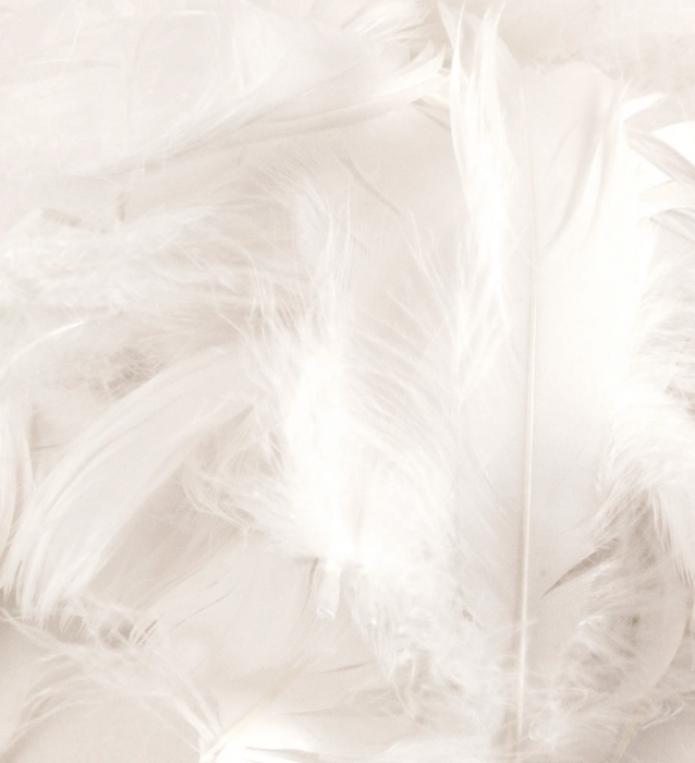 White Eleganza Feathers Mixed Sizes 3'' - 5'' (50G)