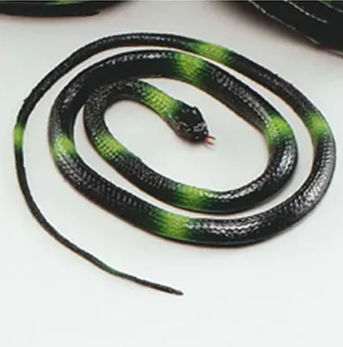 Snake Toy