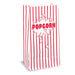 Popcorn  Paper Bags 10pk