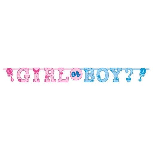 Girl Or Boy Letter Banner Kit