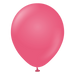 Standard Fuchsia Balloons