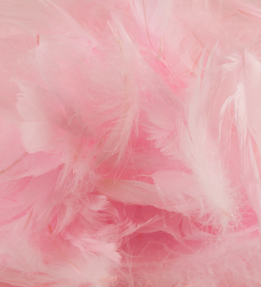 Light Pink Eleganza Feathers Mixed Sizes 3'' - 5'' (50G Bag)