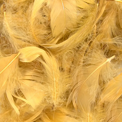 Gold Eleganza Feathers Mixed Sizes 3'' - 5'' (50G Bag)