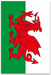 Wales Flag - 1.5m x 0.9m