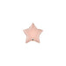 20'' Star Rose Gold Plain Foil