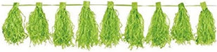 Kiwi Tassel Garland 3M