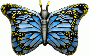 14 Inch Mini Royal Butterfly Blue (Flat)