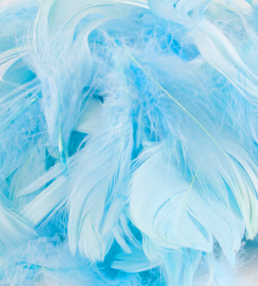 Light Blue Eleganza Feathers Mixed Sizes 3'' - 5'' 50G Bag