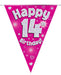 Oaktree UK 14th Birthday Bunting Pink - 11 Flags 3.9M