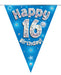 Oaktree UK 16th Birthday Bunting Blue - 11 Flags 3.9M