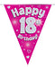 Oaktree UK 18th Birthday Bunting Pink - 11 Flags 3.9M