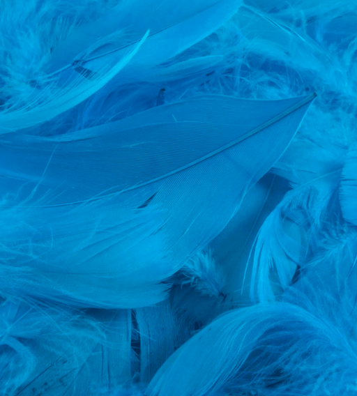 Oaktree UK Feathers Turquoise Eleganza Feathers Mixed Sizes 3'' - 5'' (50G Bag)