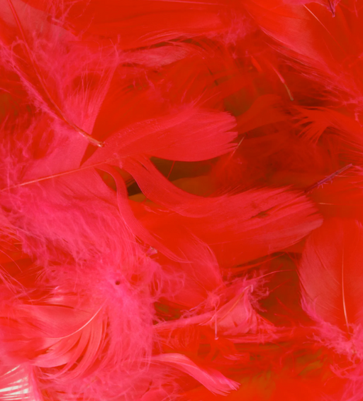 Red Eleganza Feathers Mixed Sizes 3'' - 5'' (50G Bag)