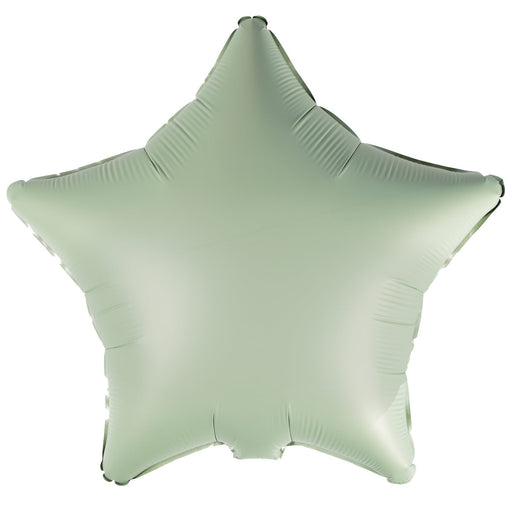 Eucalyptus Star Silk Lustre Standard Unpackaged Foil Balloons