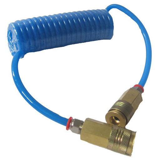 Economy 10ft Extension hose